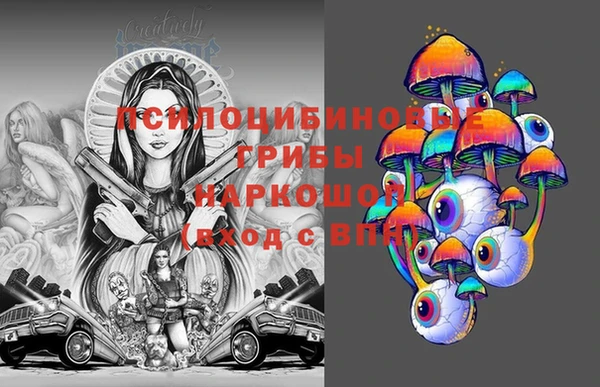 спиды Зеленокумск