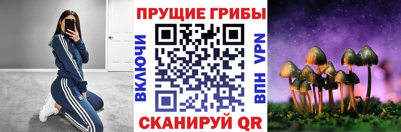 Галлюциногенные грибы Magic Shrooms  Купить  Новоузенск 
